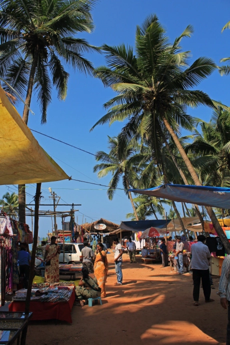 North Goa vs South Goa: What’s Best for You?