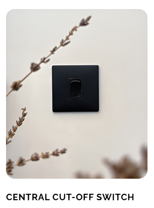 How Vianaar Integrates Sustainable Living into Everyday Design