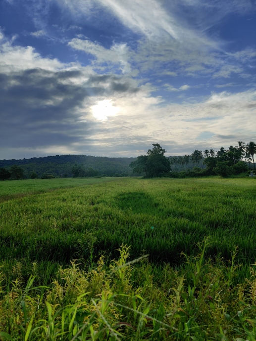 Top 5 Locations for Investment in Goa